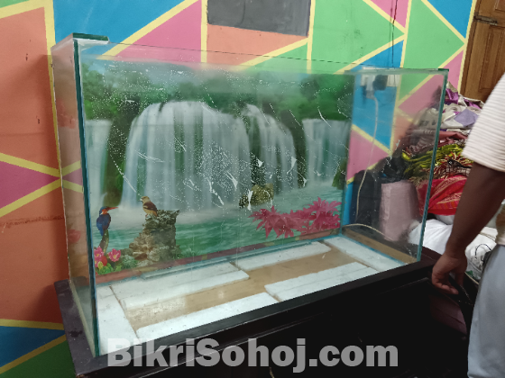 Fish aquarium